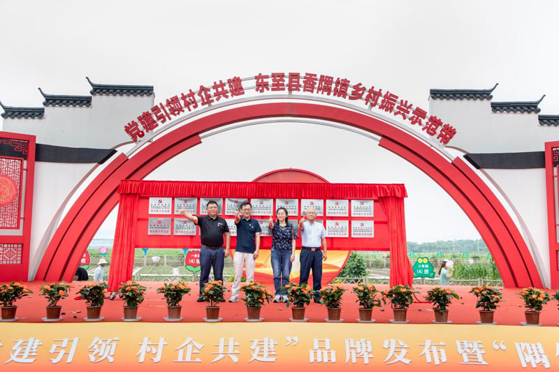 活动现场。侯亮摄