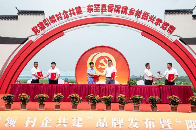 活动现场。侯亮摄