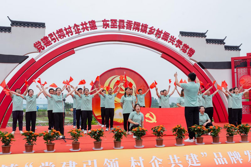 活动现场。侯亮摄