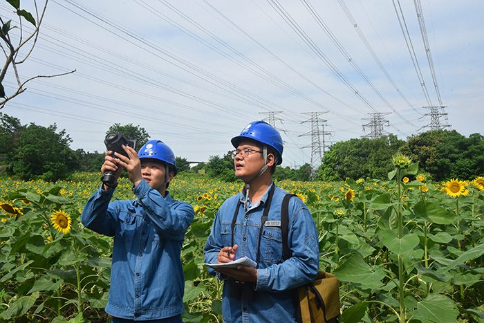 7月4日，國網馬鞍山供電公司巡視人員俞飛楊、張健，對220千伏章明4DQ0線開展紅外測溫。常舜禹 攝