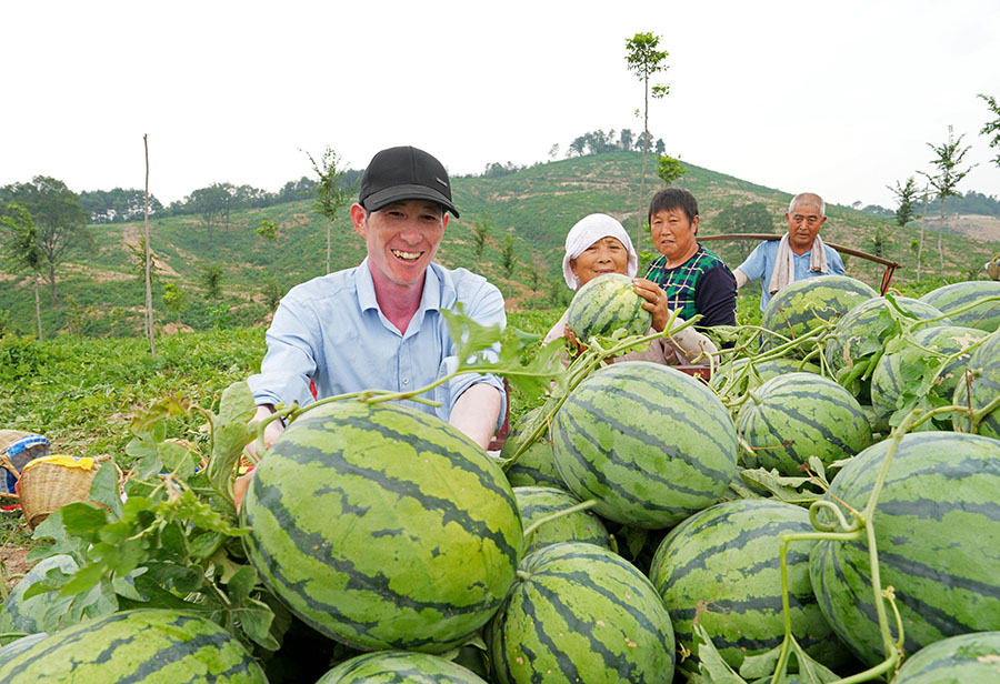 7月6日，全椒县西王镇隆兴村村民在采收山地西瓜。 沈果摄