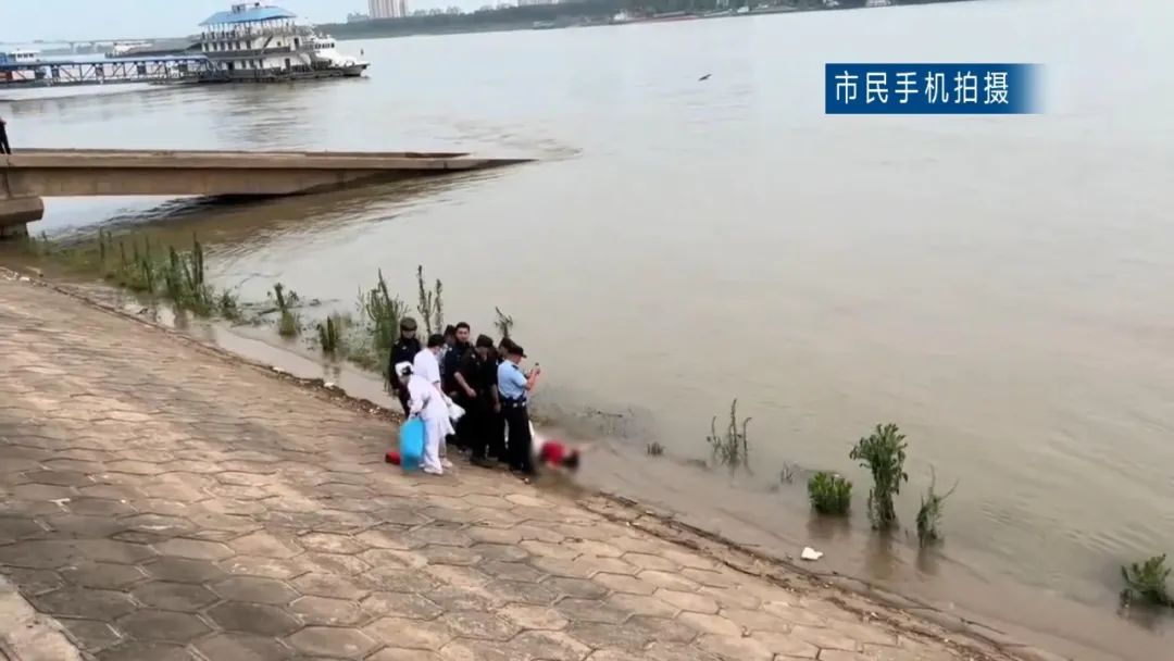 视频截图