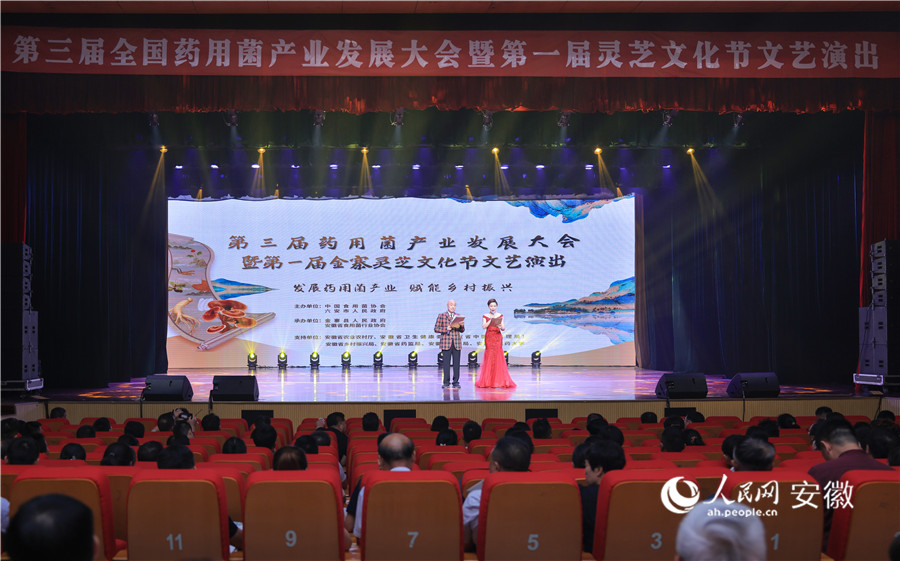 演出现场。人民网记者 王晓飞摄