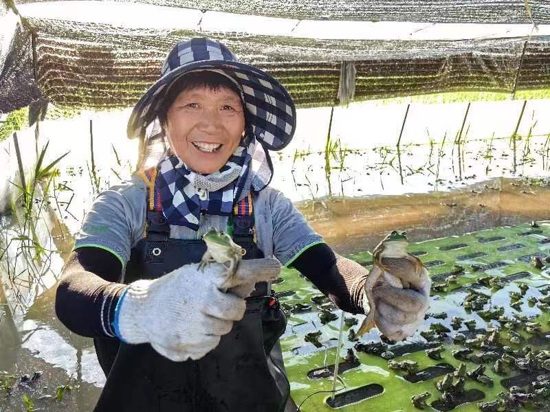 到哇。安徽颍上县委宣传部供图