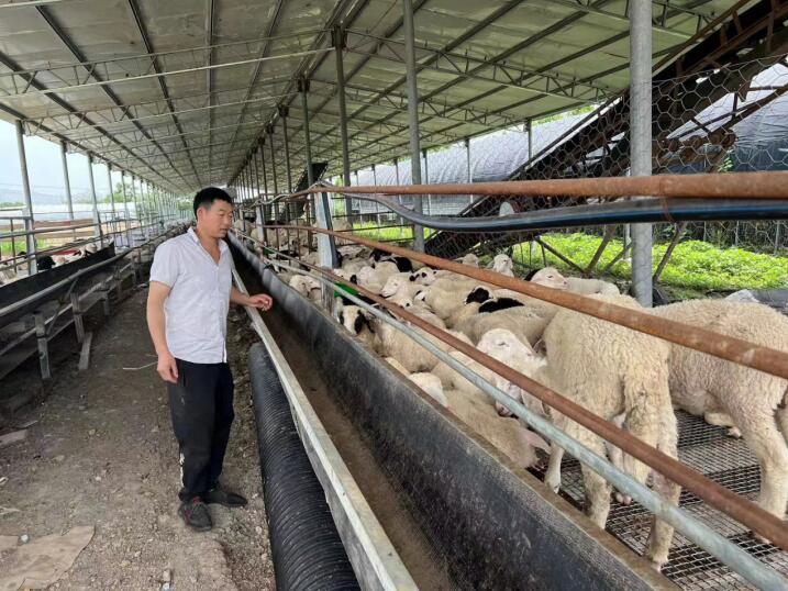 赵辉新建的羊舍。谢勋章供图