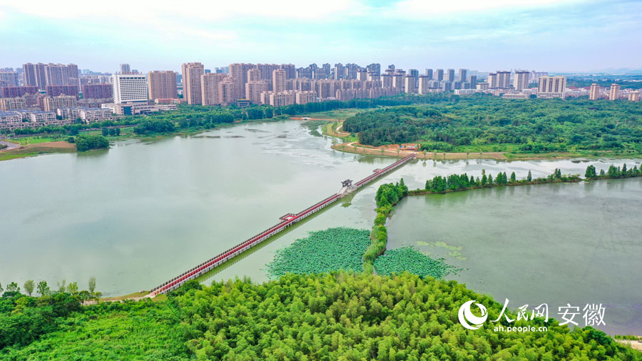 俯瞰芜湖湾沚水梦南湖生态公园。人民网记者 张俊摄
