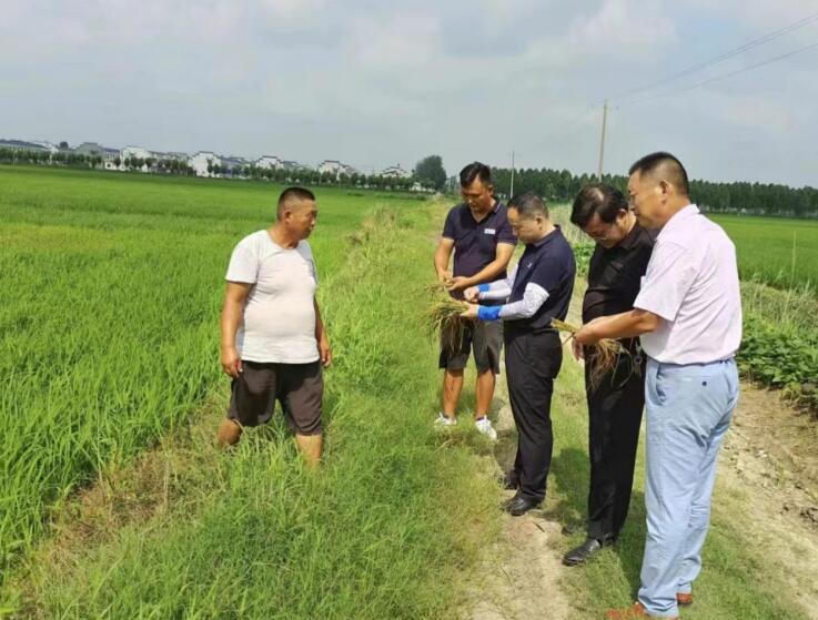 農技人員現場“把脈”。曹炳宏供圖