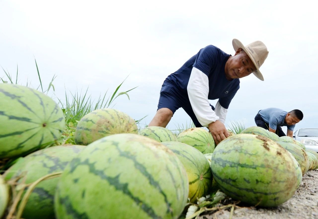 巢湖市委宣传部供图
