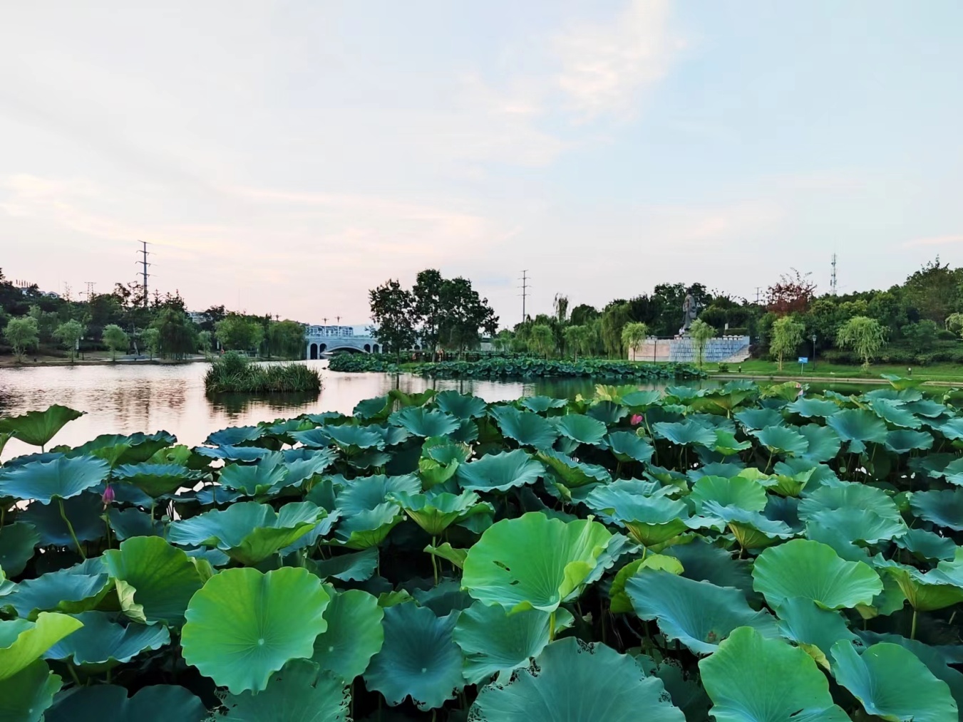 寿县廉政主题公园。王友唐摄