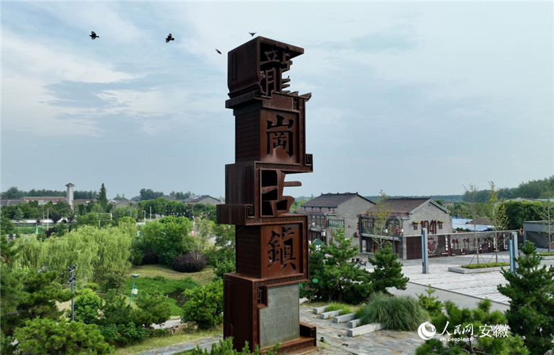 俯瞰龙岗社区打造的红色旅游古镇。人民网记者 陶涛摄