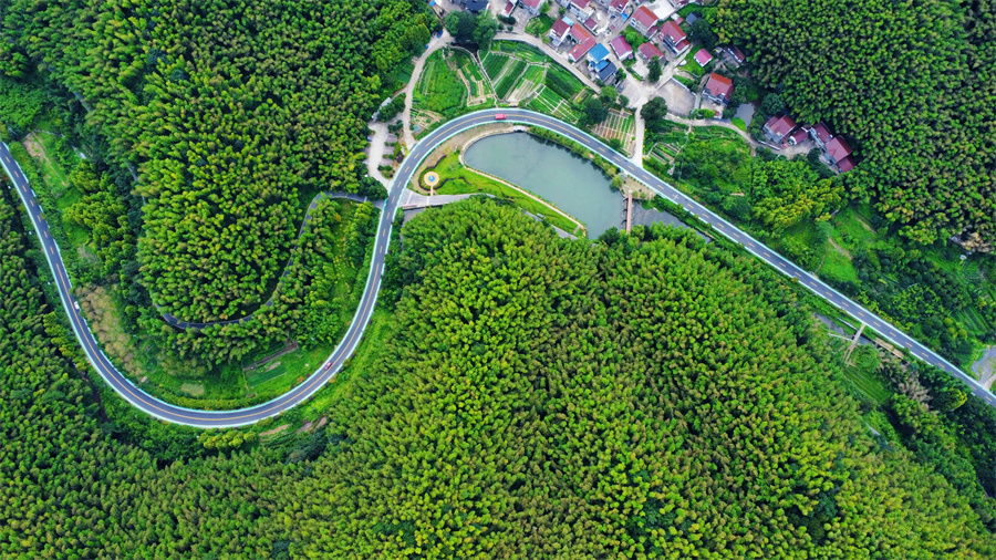 路畅景美入画来。陈勇摄