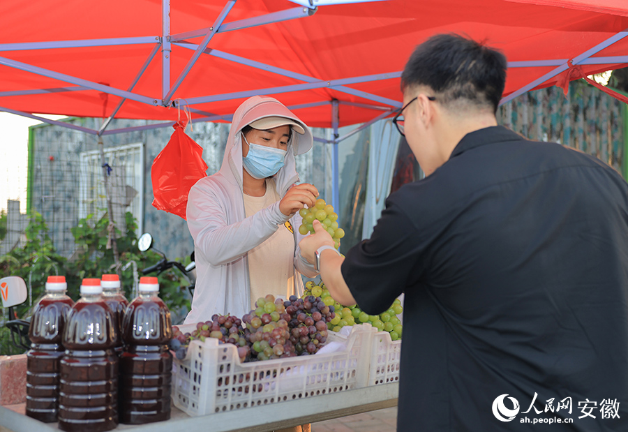 果農在路邊銷售新鮮採摘的葡萄。人民網記者 王曉飛攝