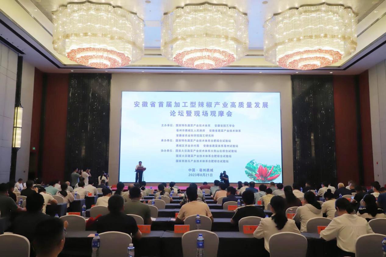 论坛开幕式现场。人民网 吕欢欢摄