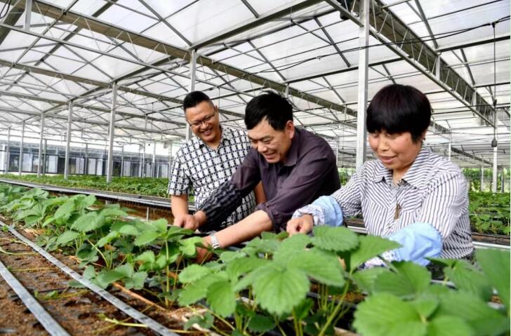 田峰（左一）向包联农户分享草莓种植经验