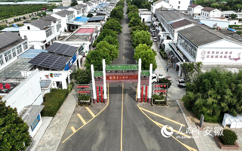 俯瞰凤阳县小岗村。人民网记者 陶涛摄