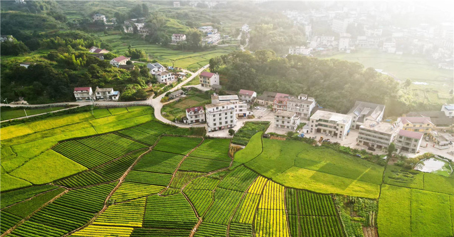 司空山下好“丰”景。薛晓莲供图