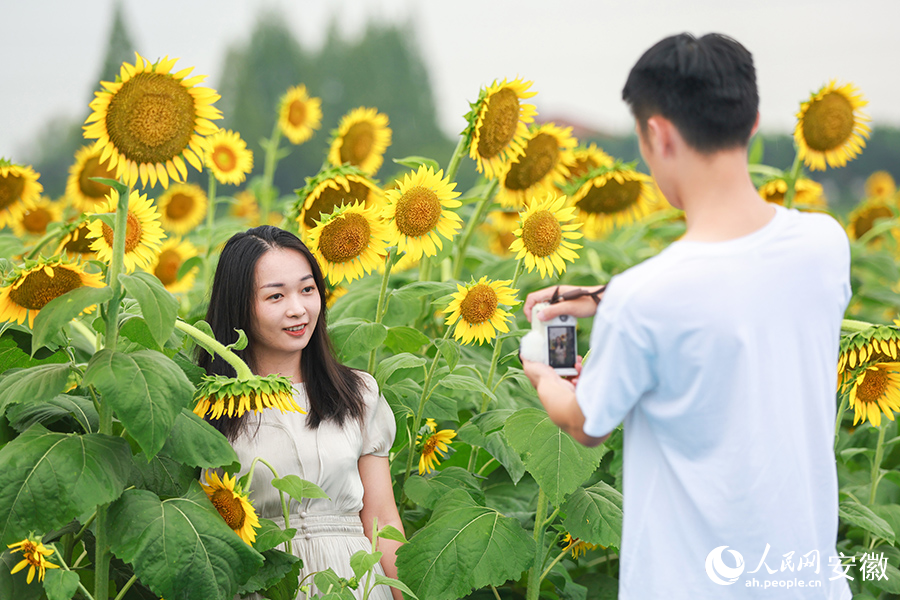 游客和向日葵同框合影。人民网记者 张俊摄