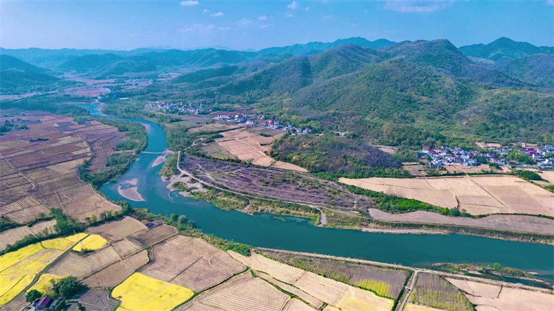 产业振兴助推乡村振兴