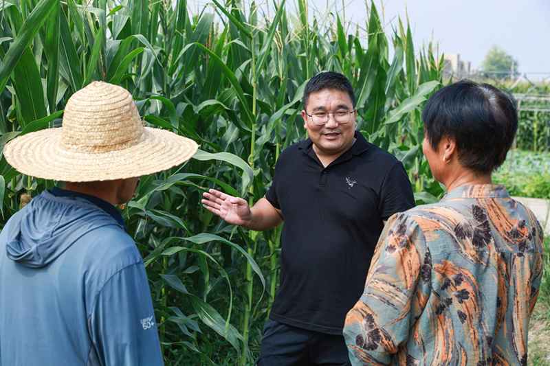 虞姬镇乡村调解员（右二）在田间地头调解村民事务。人民网记者 张俊摄