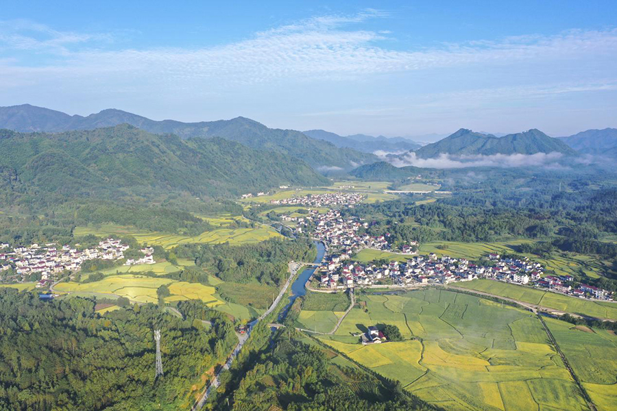 鄉村豐收畫卷。江建興攝