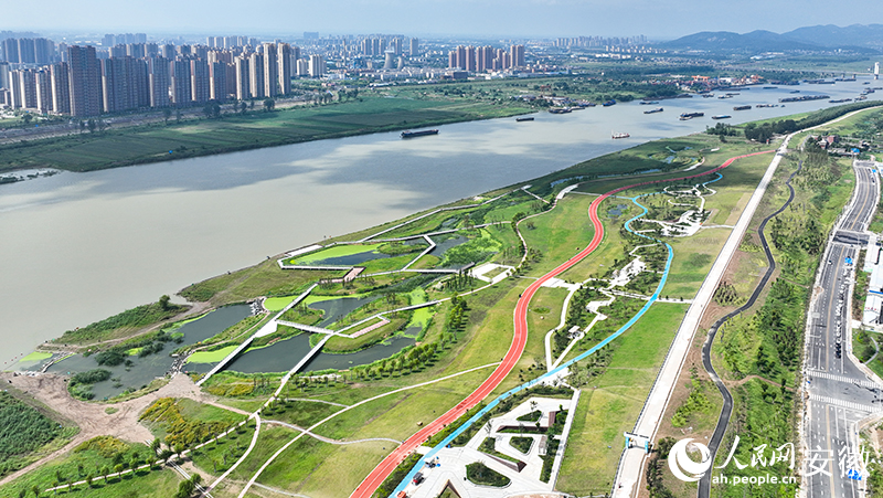 8未來的淮河兩岸，不僅美好風景帶，更是城市高質量發展的強勁“引擎”。人民網記者 陶濤攝