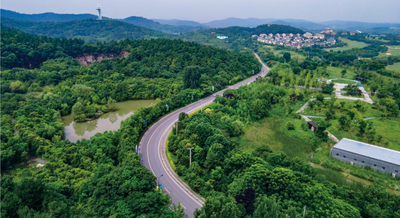紫蓬山农村公路。合肥市交通运输局供图