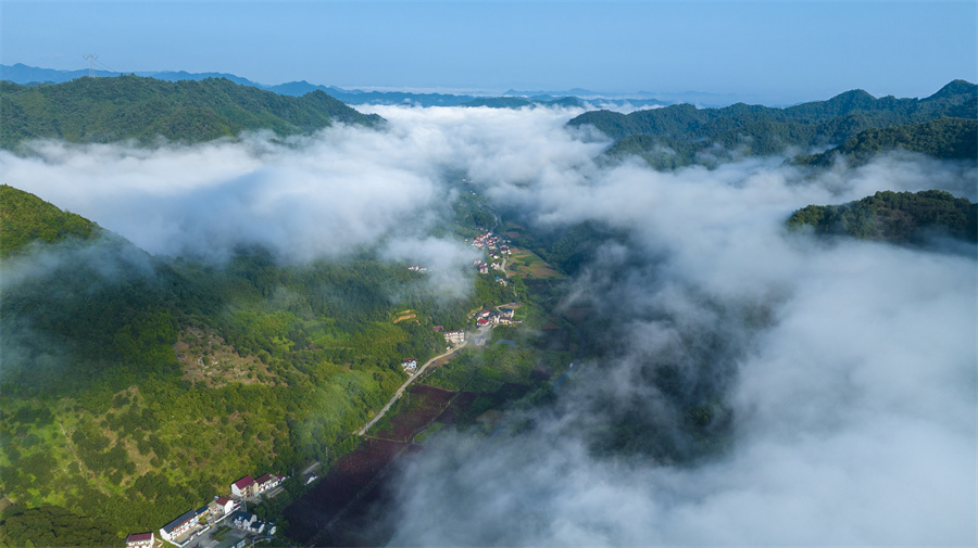 雲霧繚繞的安徽寧國市寧墩鎮南陽村。胡起攝
