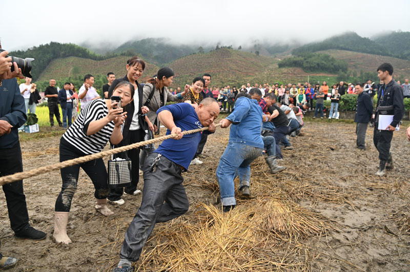 当地村民参加拔河比赛。江雪飞摄
