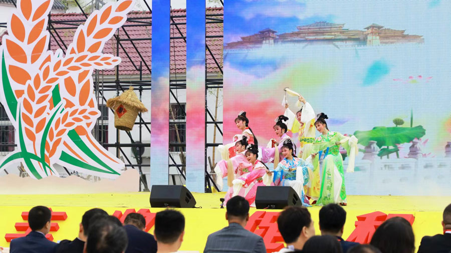 活動現場，上演黃梅戲慶祝豐收。余正良攝