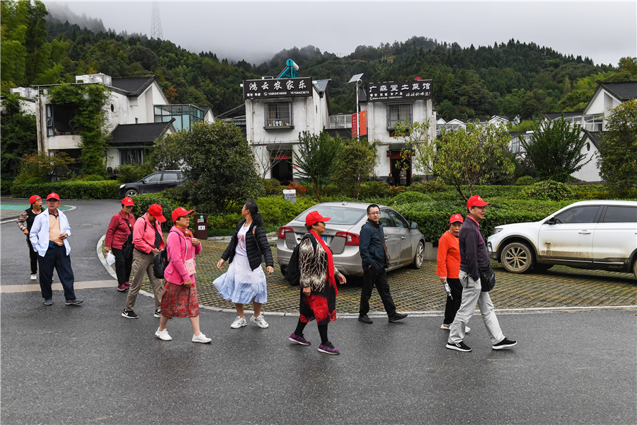一群来自广东的游客抵达大湾村。