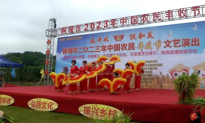 桐城市2023年中国农民丰收节非遗文化展演活动现场。桐城市委宣传部供图