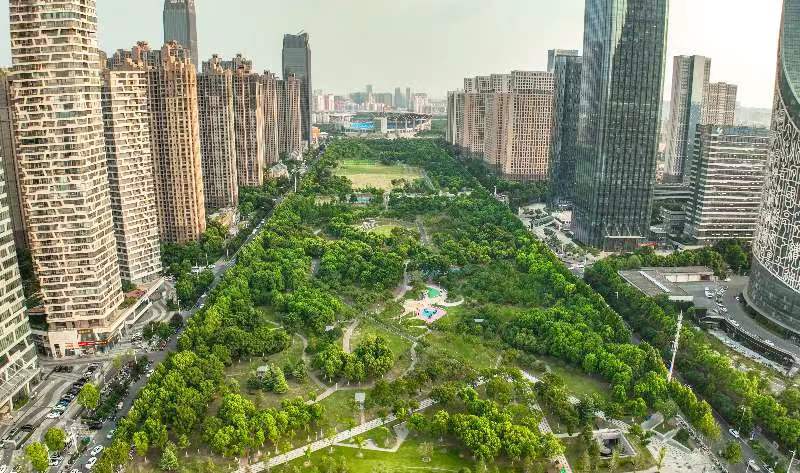 绿轴公园。