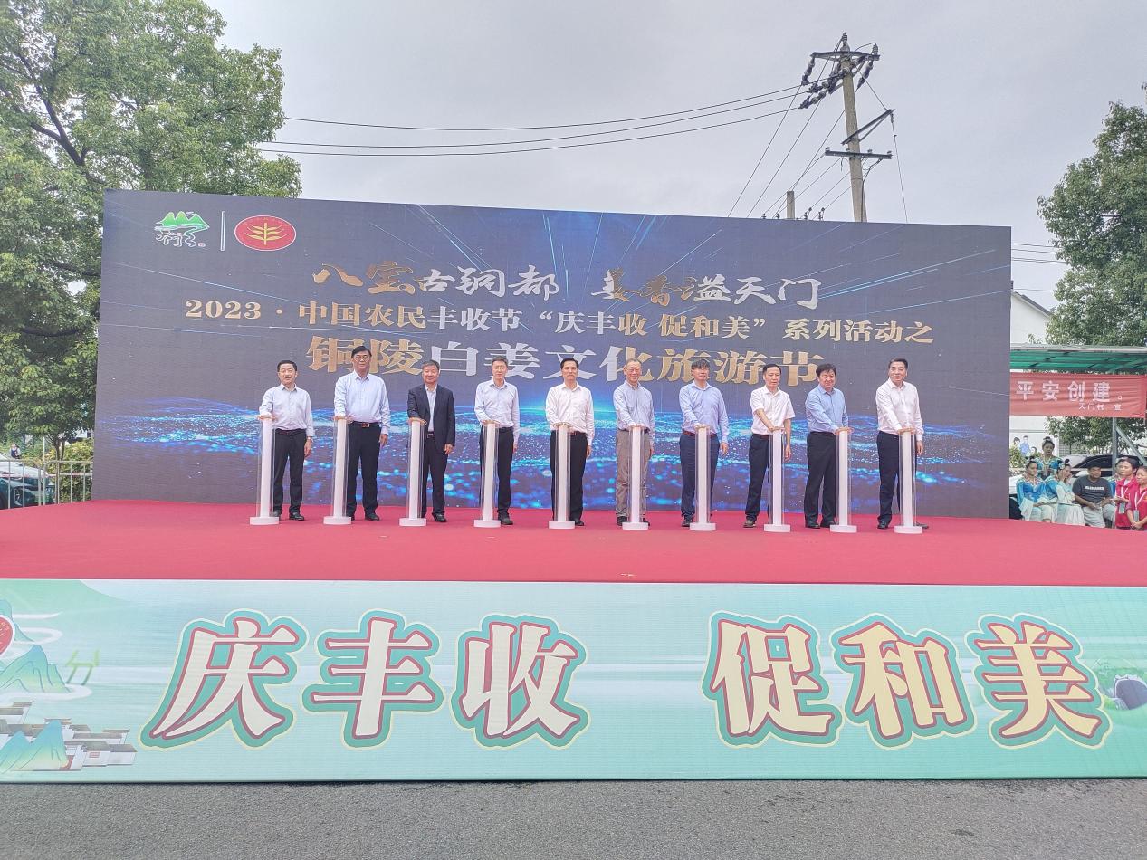 开幕式现场。铜陵市委网信办供图