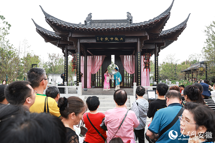 游客在安慶園裡欣賞黃梅戲。人民網記者 張俊攝