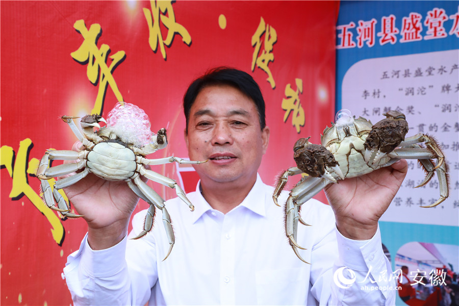 展銷街上，養殖戶向人們展示自家的螃蟹。人民網記者 陶濤攝