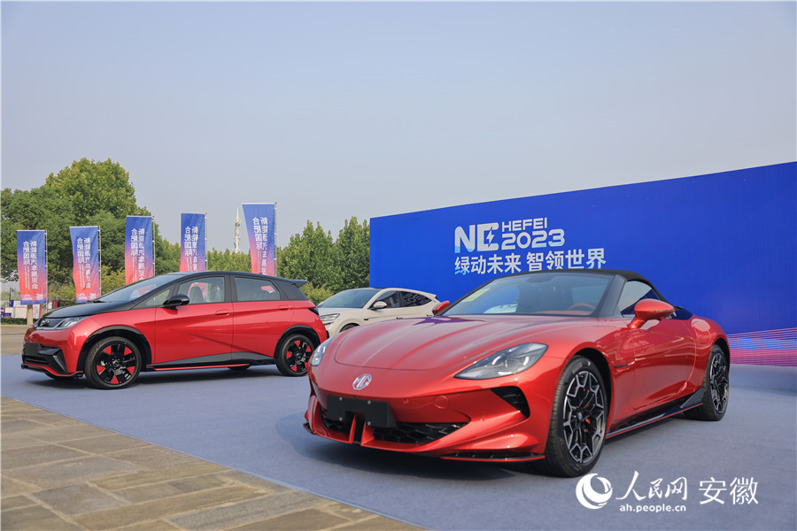 本次展览会以“绿动未来 智领世界”为主题。人民网记者 王晓飞摄