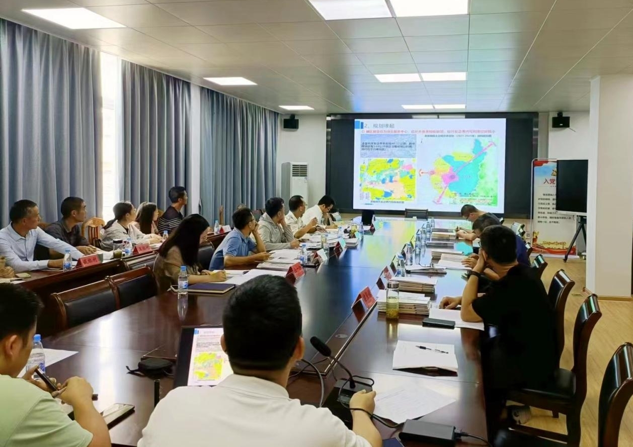凌笪镇村庄规划专家评审会