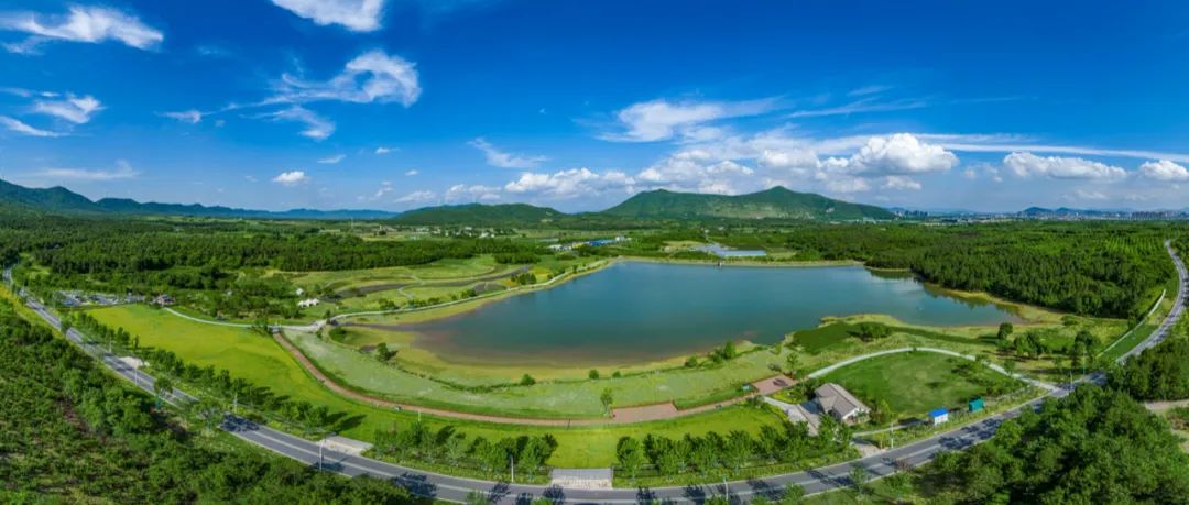 巢湖经开区美景。郭奇供图