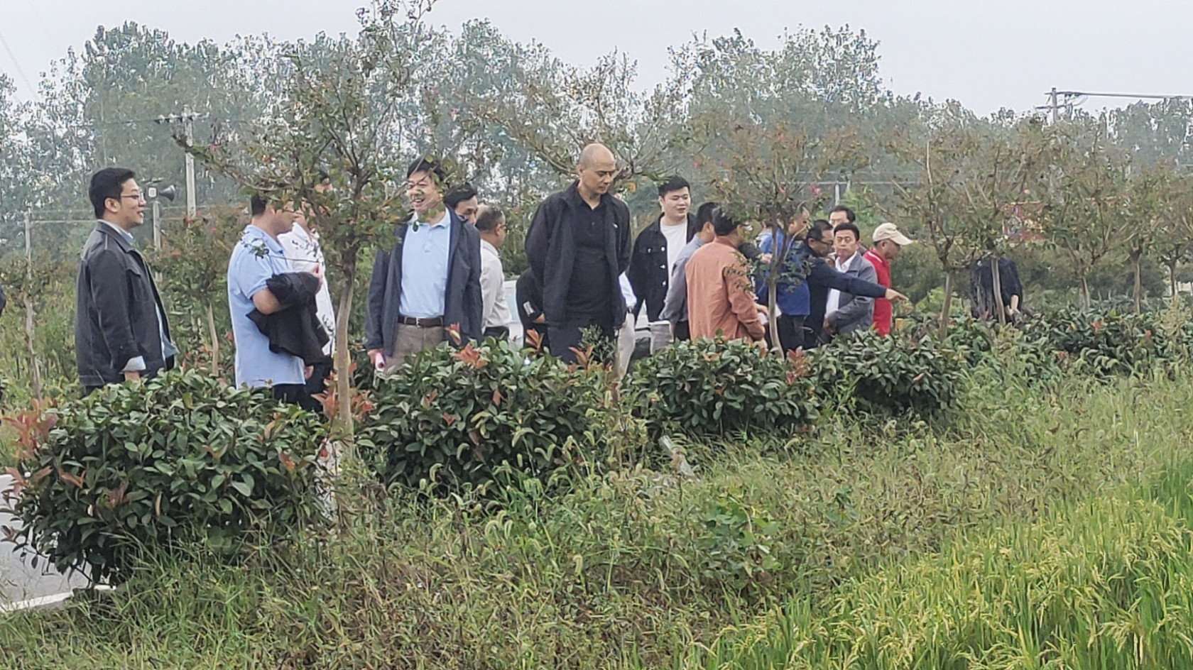 观摩现场