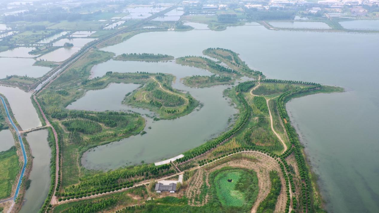 航拍凤栖湖湿地公园。淮北市委宣传部供图