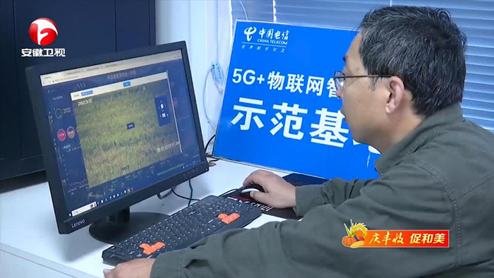 工作人員通過平台查看田間現場數據