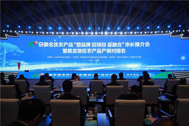 市長推介會現場。人民網記者 陶濤攝