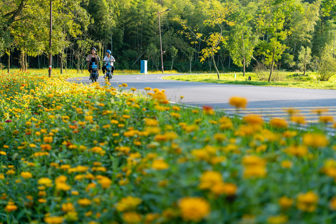 平天湖环湖道路美景。池州市委宣传部供图
