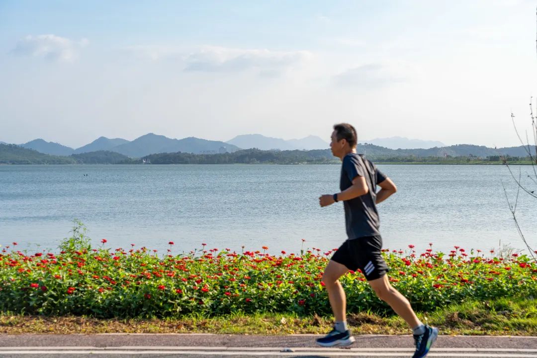 市民在池州平天湖环湖道路上晨跑。池州市委宣传部供图