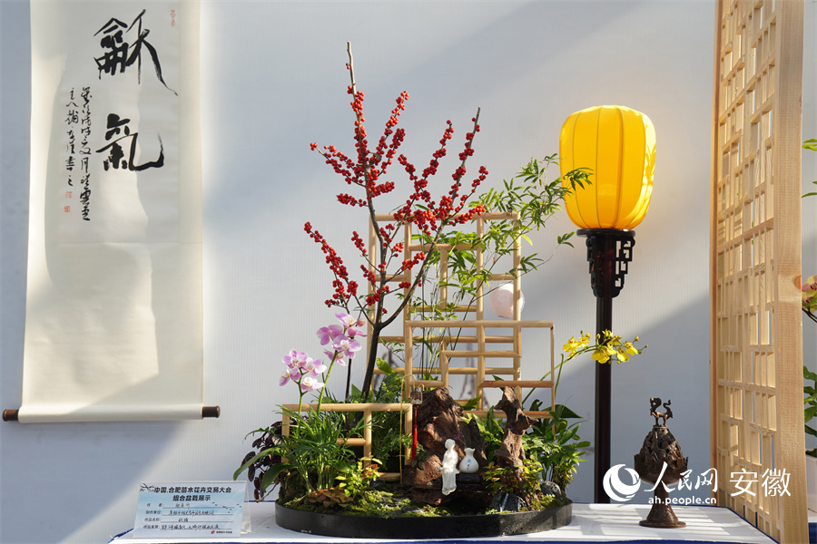 苗交會上的組合盆栽展示。人民網記者 陳若天攝