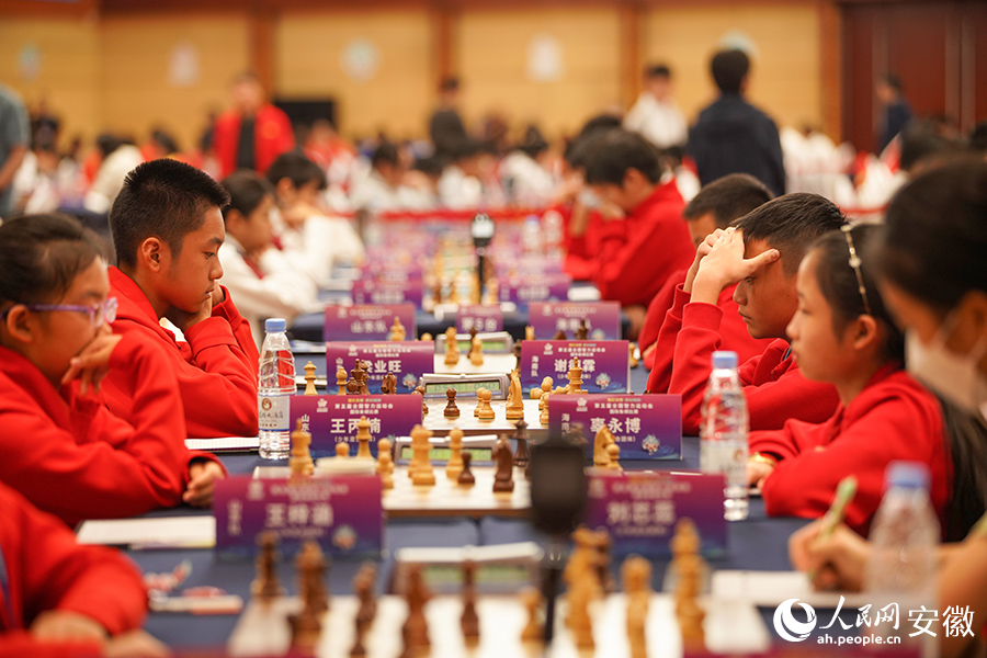 五智会国际象棋比赛现场。人民网记者 陈若天摄