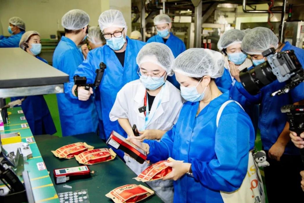 走進洽洽透明工廠，了解生產過程。洽洽食品供圖