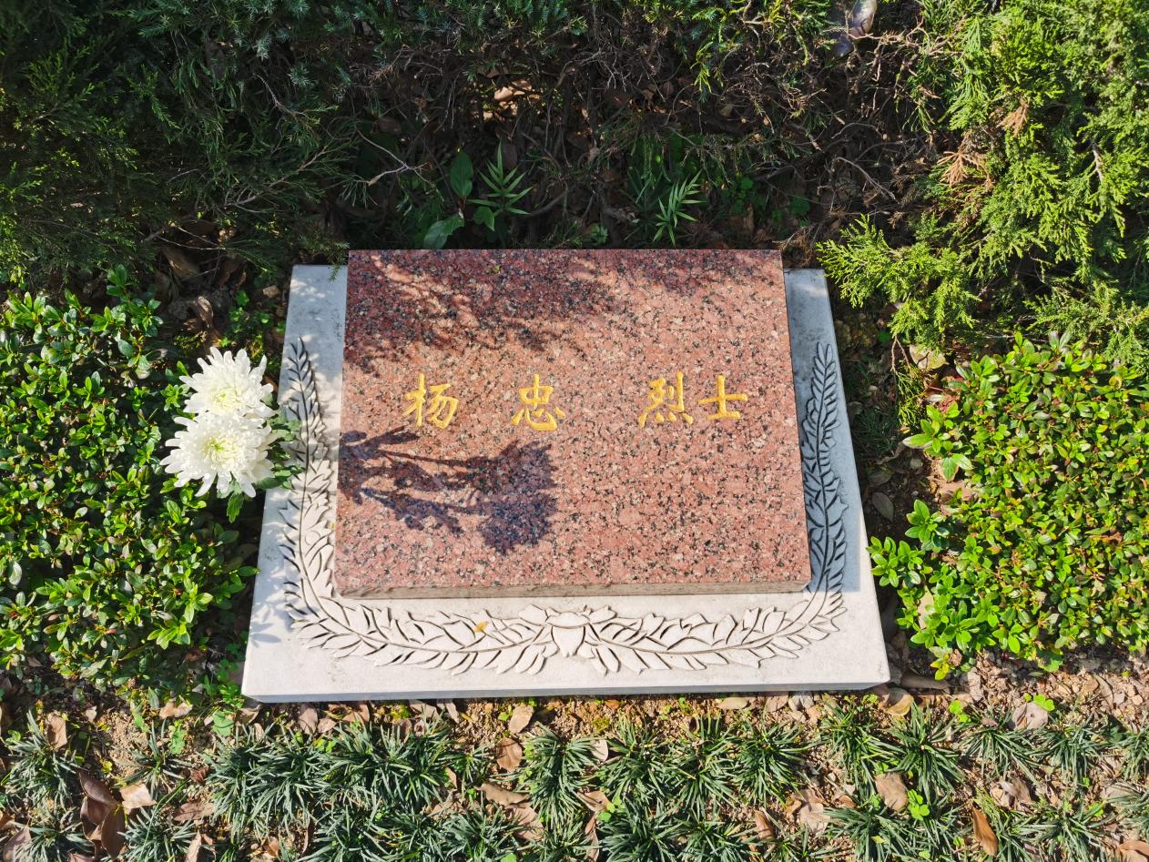 杨忠烈士墓碑。 温州革命烈士纪念馆供图