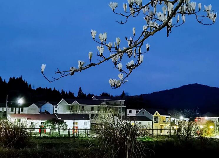 乡村夜景。汪有民供图