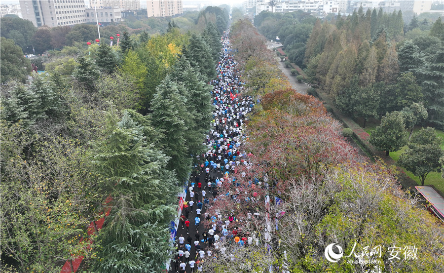 赛道途经城北广场、滨河公园、保丰河绿道、五里湖湿地公园、尤家花园等。人民网记者 陶涛摄